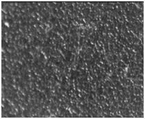 YY 800高玻纤特种改性剂在加玻纤尼龙中应用实例