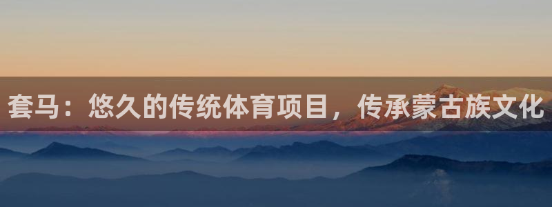 江苏星奥娱乐有限公司