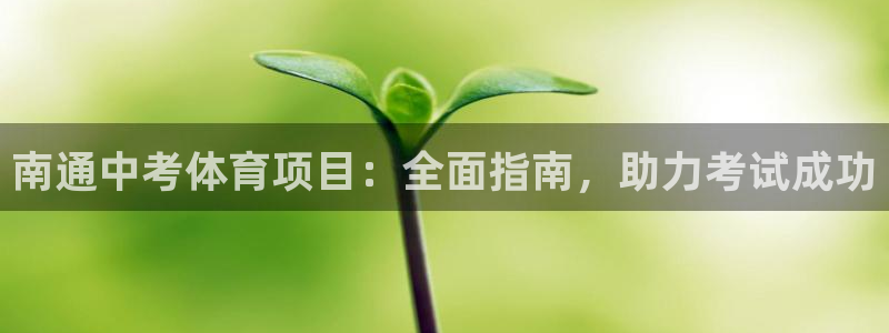 星欧娱乐扣款流程详解