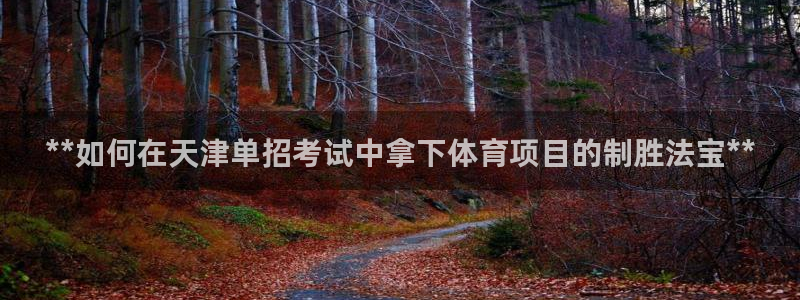 江苏星奥娱乐有限公司怎么样