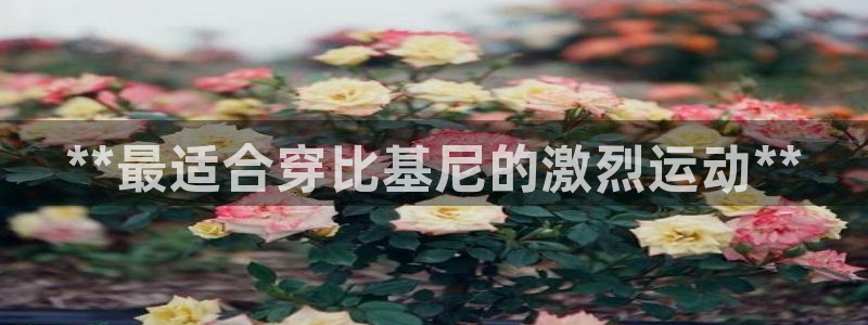 星澳娱乐公司怎么样