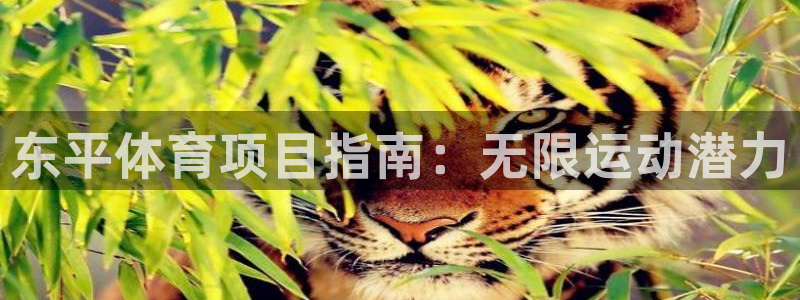 欧亿测速娱乐