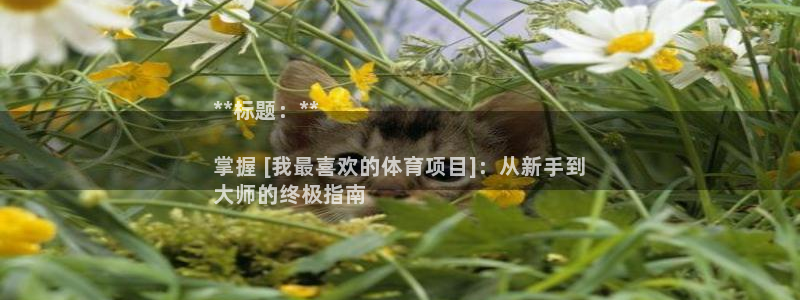 星欧娱乐属于什么档次