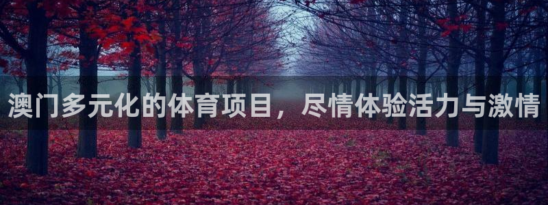 星欧娱乐属于什么档次的网站