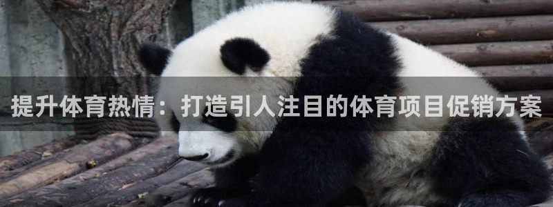 星欧娱乐扣款时间查询方法怎么查
