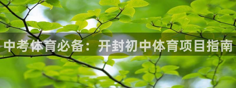 星欧娱乐属于什么档次的公司名称