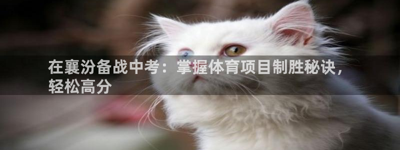 星奥盛典娱乐会所