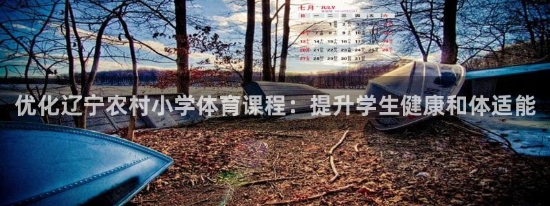 星欧娱乐平台怎么样啊安全吗