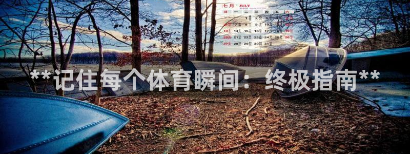 星奥娱乐集团