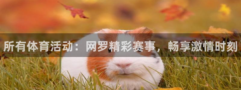 星欧娱乐的创始人背景故事介绍