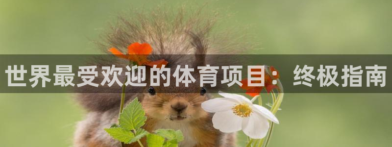 星澳娱乐公司怎么样