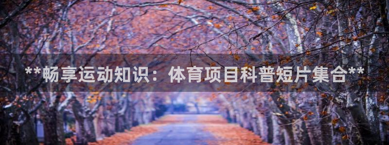 星奥娱乐集团官网