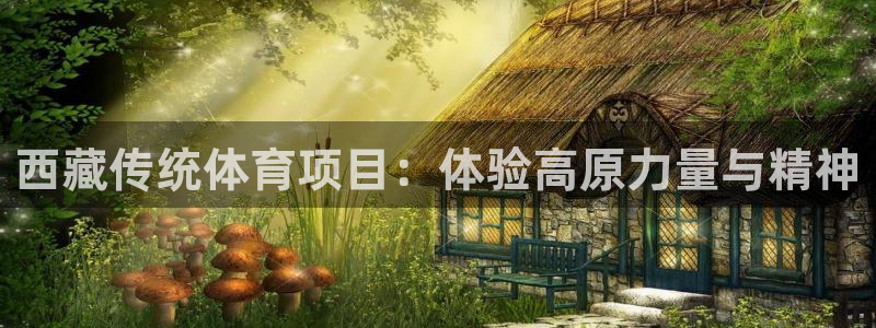 星欧娱乐属于什么档次的公司啊