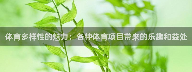 星欧娱乐银行卡怎么登录