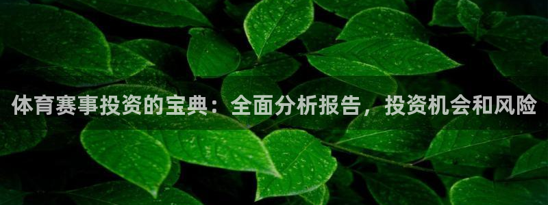 星奥娱乐集团官网