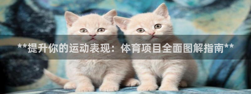 星奥娱乐集团股份有限公司官网