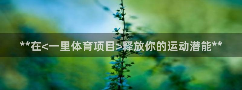 星欧娱乐官方客服联系方式查询