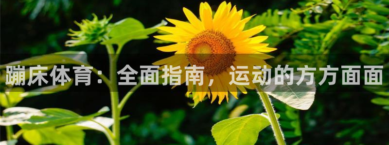 星欧娱乐v8.0.3最新版本更新内容介绍