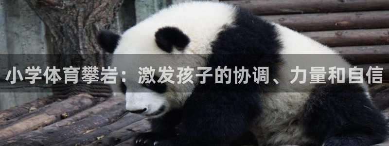 星欧娱乐app最新版本更新内容下载