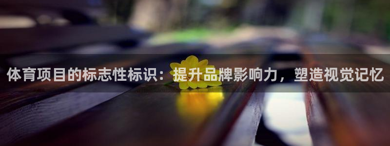 星欧娱乐平台怎么样啊安全吗