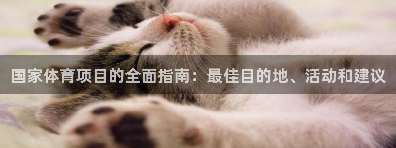 新星娱乐怎么开挂