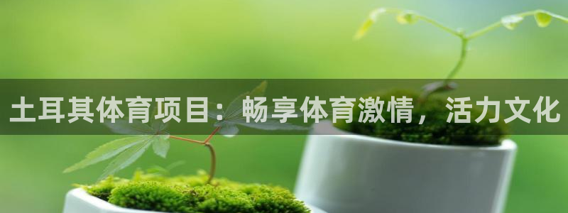 星欧娱乐扣款流程详解视频播放