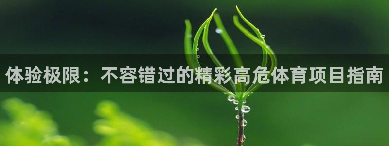 星欧娱乐公司电话号码多少