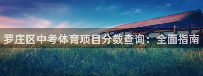 星欧娱乐公司创始人背景故事简介