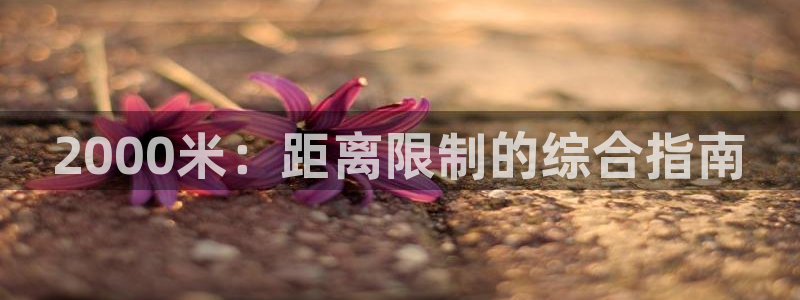 星欧娱乐平台怎么样啊