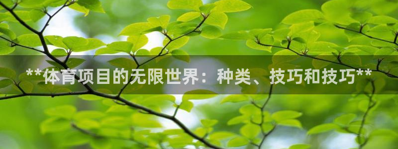 星欧娱乐属于什么档次的软件