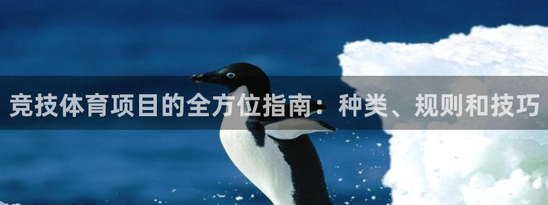 星欧娱乐扣款时间查询方法是什么意思