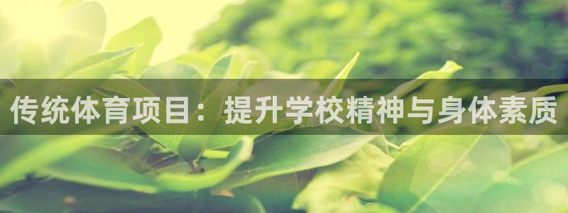 星欧娱乐扣款