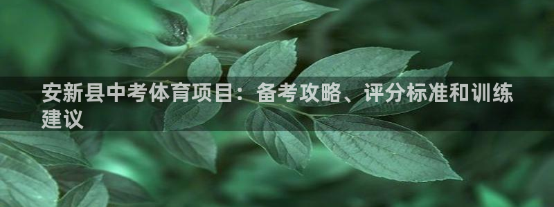 星奥娱乐集团怎么样