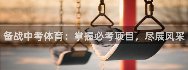 星欧娱乐挂机教程