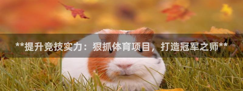 星娱乐online创作的原声这个歌曲叫什么名字