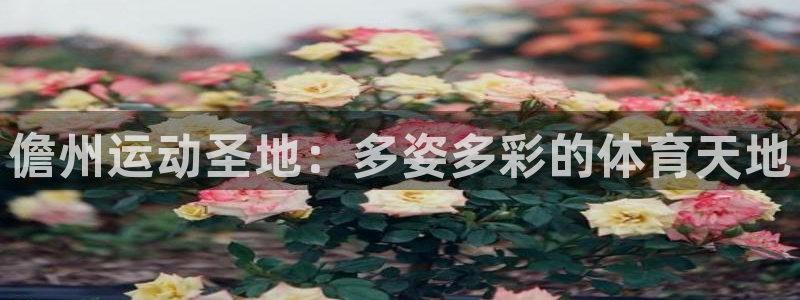 星欧娱乐彩票软件下载安卓
