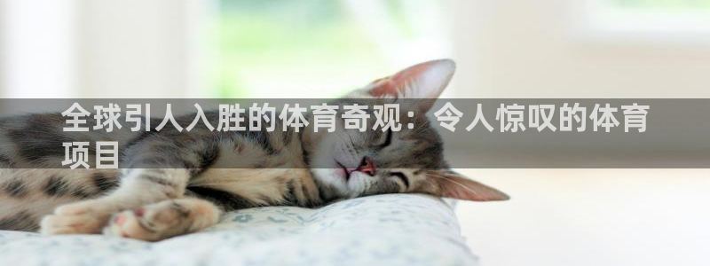 星欧娱乐扣款时间查询方法是什么意思