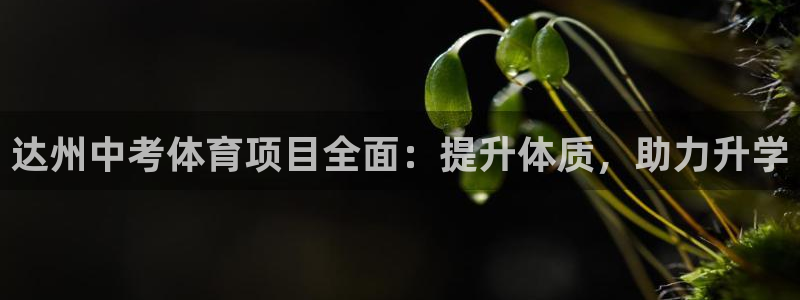 星欧娱乐的官方版本更新内容是什么