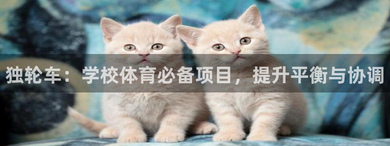 星娱乐online创作的原声这个歌曲叫什么名字