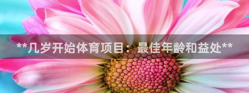 星奥娱乐集团怎么样
