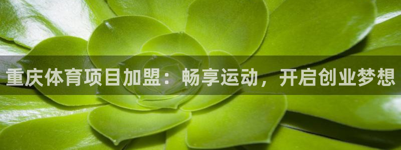 星欧娱乐app最新版本更新内容下载