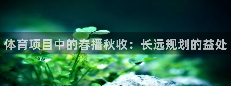 星欧娱乐属于什么档次的软件啊