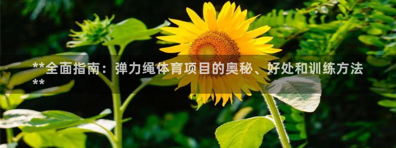 星欧娱乐官网首页下载