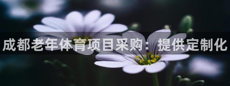 星欧娱乐官方客服联系方式是什么