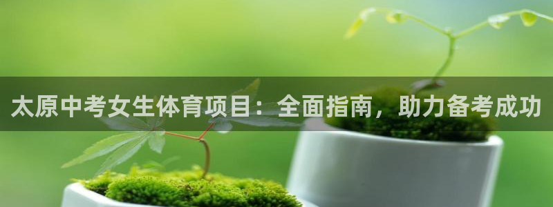 星欧娱乐挂机教程下载