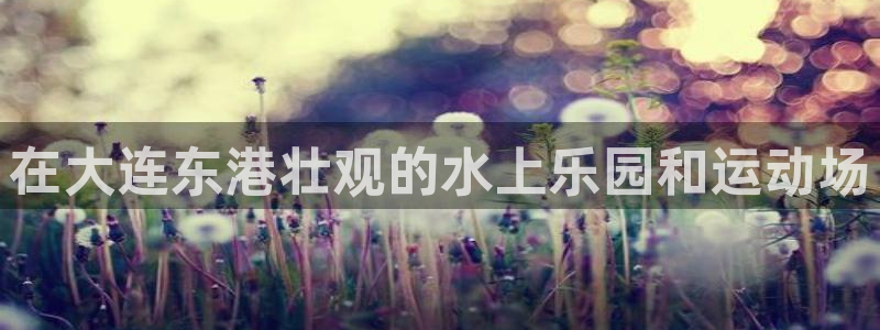 传奇星娱乐