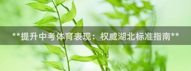 星欧娱乐是正规平台吗