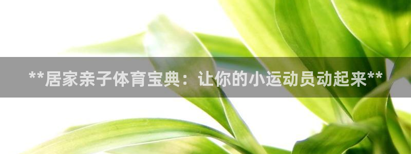 星欧娱乐联和哪个品牌合作