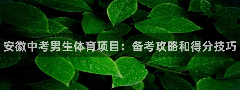 星欧娱乐的官方版本更新内容