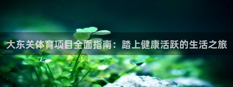 星欧娱乐公司地址